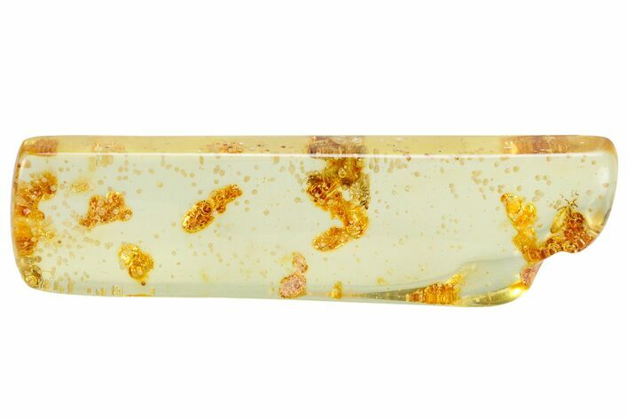 Polished Colombian Copal ( g) - Contains Termites & Enhydros #326720